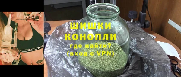 дурь Кропоткин