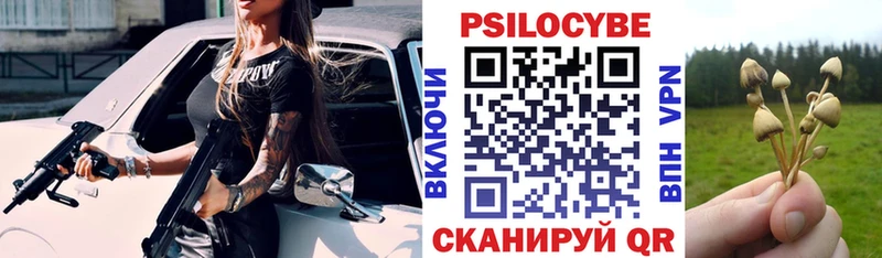 Псилоцибиновые грибы Cubensis  где купить наркоту  Славянск-на-Кубани 