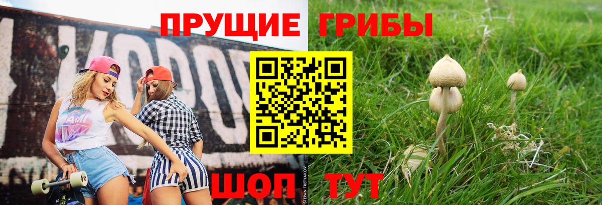 Псилоцибиновые грибы ЛСД Славянск-на-Кубани