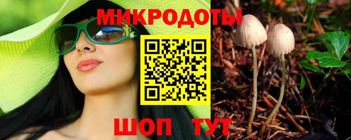 Славянск-на-Кубани  Псилоцибиновые грибы мухоморы  Вход с VPN 