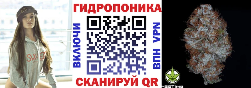 мега зеркало  Славянск-на-Кубани  МАРИХУАНА OG Kush  купить наркотики цена 